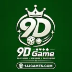 9D Game